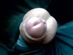 ภาพถ่ายข้อศอกส่วนหนังสติ๊อยู่บนโซฟาของเธอ วีดีโอ หนัง โปั